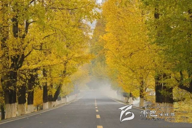 康定新都橋，有一條黃金大道通往夢中的天堂